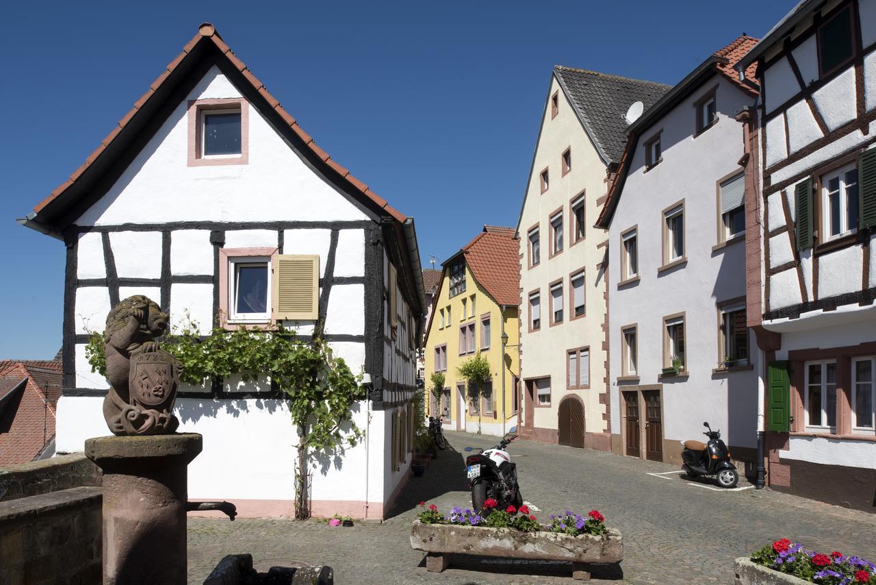 Burggarten Appartements Neuleiningen Екстериор снимка