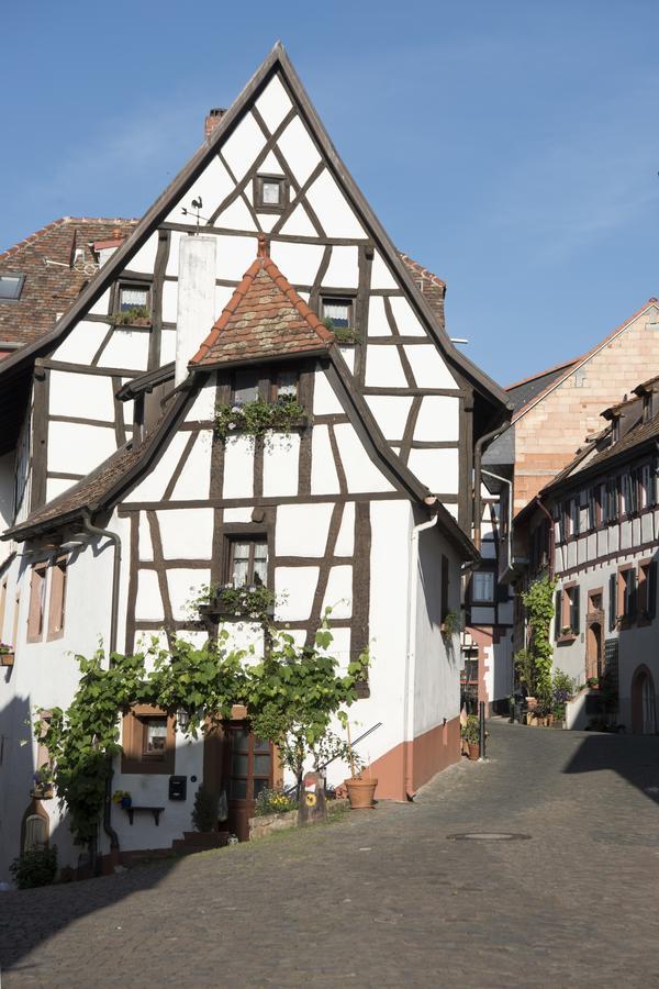 Burggarten Appartements Neuleiningen Екстериор снимка