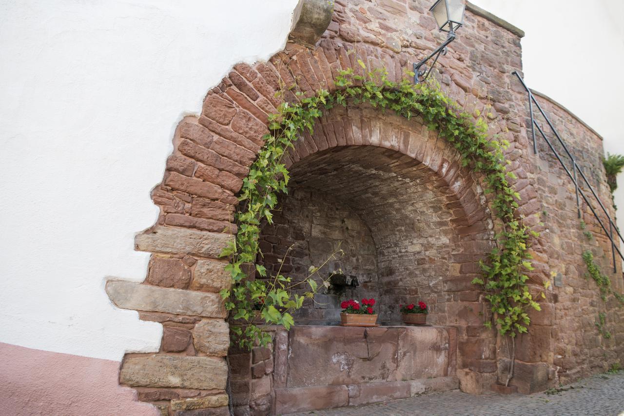 Burggarten Appartements Neuleiningen Екстериор снимка